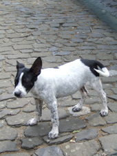 DSCF0358_170