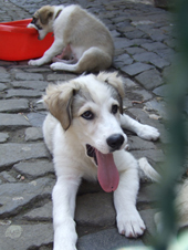 DSCF1301_280