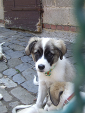 DSCF1302_281