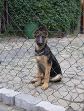 DSCF1696_170