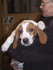DSCF2003_170