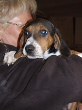 DSCF2011_170