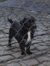 DSCF2243_170
