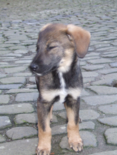 DSCF2486_170