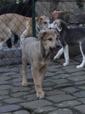 DSCF2488_170