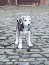 DSCF2491_170
