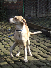 DSCF2623_170