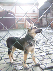 DSCF2633_170