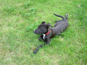 DSCF2964_klein