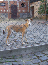 DSCF3010_170