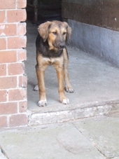 DSCF3124_170