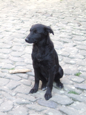 DSCF3128_170