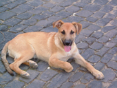 DSCF3289_klein