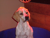 DSCF3682_klein