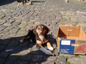 DSCF3822_klein