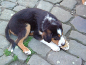DSCF3833_klein