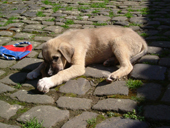 DSCF3835_klein