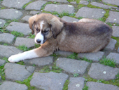 DSCF3838_klein