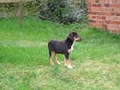 DSCF3856_klein