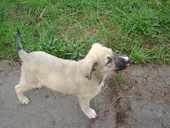 DSCF3859_klein
