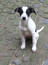 DSCF3906_170