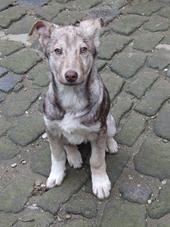 DSCF3908_170