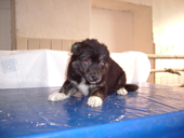 DSCF3916_klein