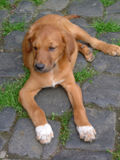 DSCF3964_klein