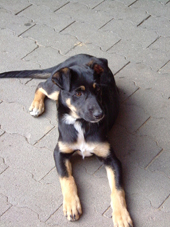 DSCF3965_klein