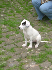 DSCF4028_klein
