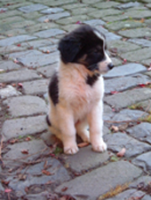 DSCF4029_170