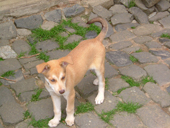 DSCF4029_klein