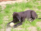 DSCF4037_klein