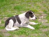 DSCF4038_klein