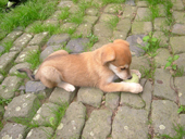 DSCF4042_klein