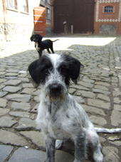 DSCF4056_170