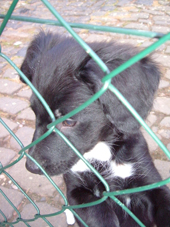 DSCF4318_klein