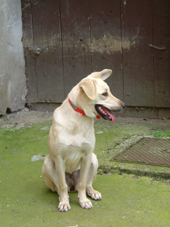 DSCF4383_klein