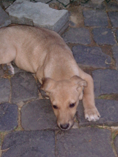 DSCF4388_klein