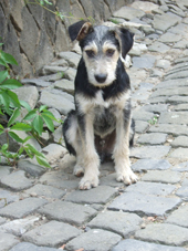 DSCF4442_170