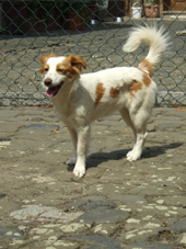 DSCF4445_170