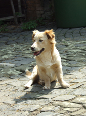 DSCF4453_170