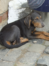DSCF4455_170