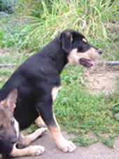 DSCF4521_klein02