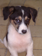 DSCF4720_170