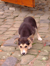 DSCF4739_170