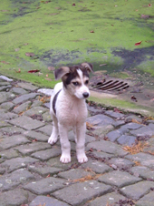 DSCF4741_170