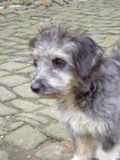 DSCF4746_170