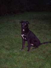 DSCF4749_170