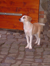 DSCF4794_170